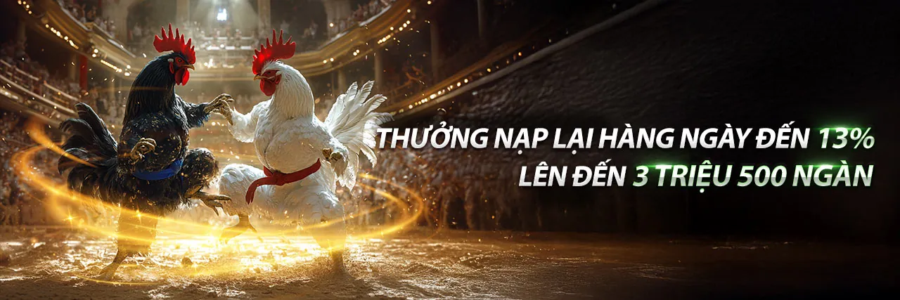 Đá gà 88clup ios - Sân đấu trực tuyến sôi động